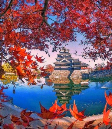 Осіннє натхнення. Вся Японія в сезон червоних кленів