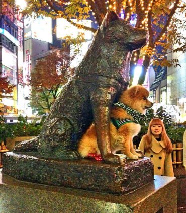 В Японію з дітьми