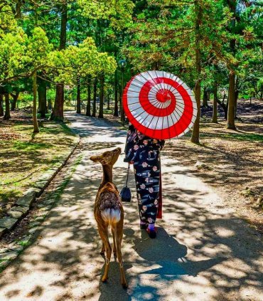 Нара - місто оленів і стародавніх храмів