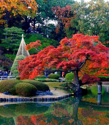 Золото Канадзави