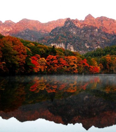 В гості до снігових мавпочок