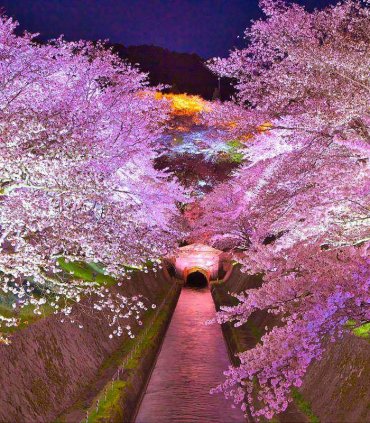 Гора Хіей і величне озеро Біва