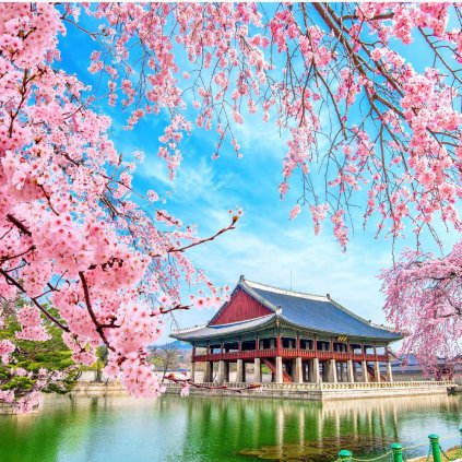 Temple stay у Кореї та відпочинок на екзотичній Окінаві