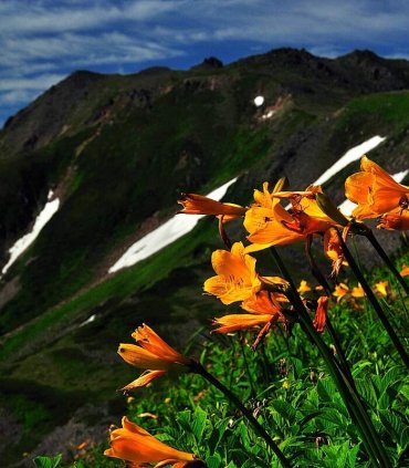 Дайсецудзан - скарб Хоккайдо