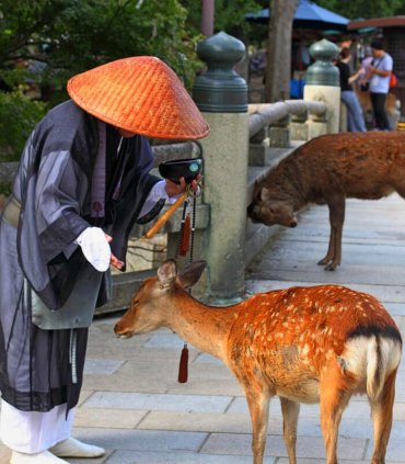 Слідами старих доріг