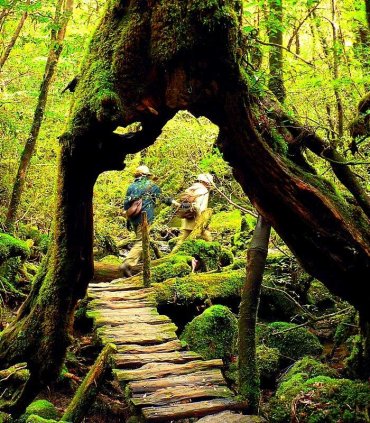 Гранд-тур "островом вогню" Кюсю
