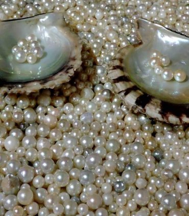 Подих священних місць