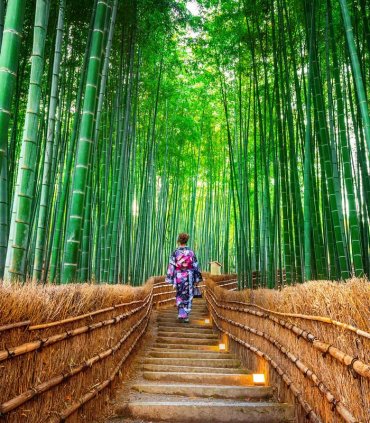 Подих священних місць