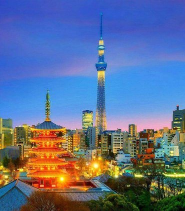 Квітуча Японія в травні