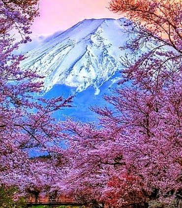 До підніжжя Фудзі