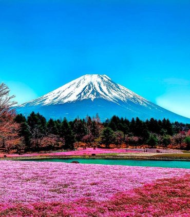 До підніжжя Фудзі