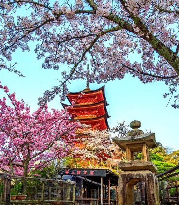 Священний острів Міядзіма