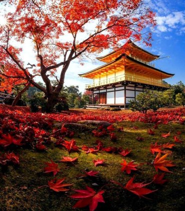 Золото Кіото