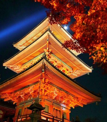 Золото Кіото