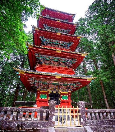 Прекрасний Нікко