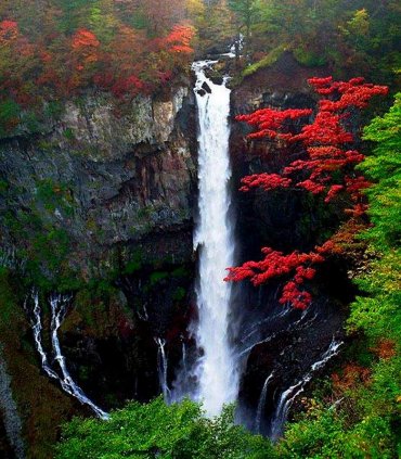 Прекрасний Нікко