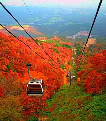 Прекрасний Нікко