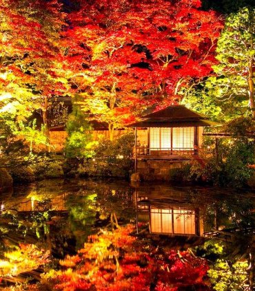 Прекрасний Нікко