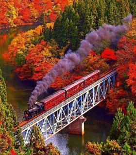 Клени момідзі в Японських Альпах