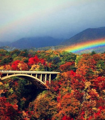 Осіннє натхнення. Вся Японія в сезон червоних кленів