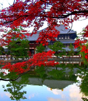 Стародавність Нари та мегаполісна Осака