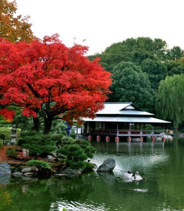 Токіо Східний очима токійців