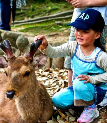 Нара та тисячі воріт Фусімі Інарі