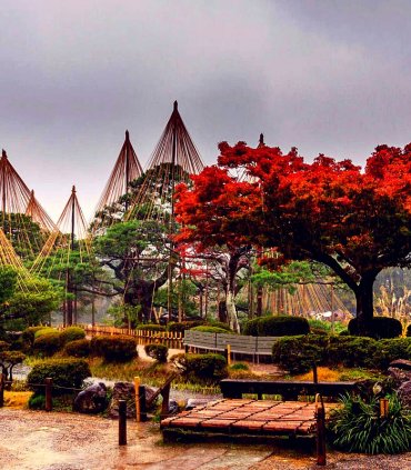 Клени момідзі в Японських Альпах