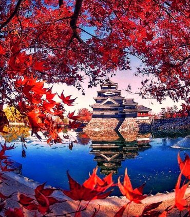 Клени момідзі в Японських Альпах