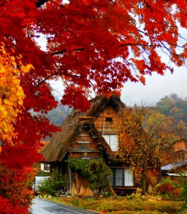 Сіракава-го і Гокаяма - оазис старої Японії