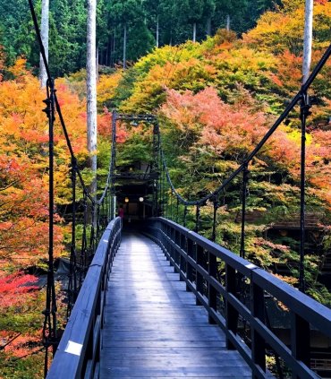 Вечеря в Кіото над рікою із танцями майко