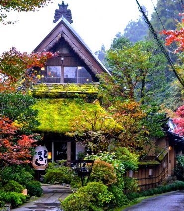 Вечеря в ресторані UKAI Toriyama та ловля цвіркунів