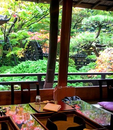 Вечеря в ресторані UKAI Toriyama та ловля цвіркунів