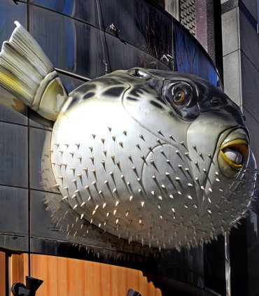 Вечеря з "отруйної" рибки Фугу