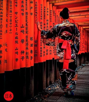 Сакура і гліцинії в травні