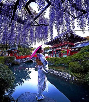 Квітуча Японія в травні