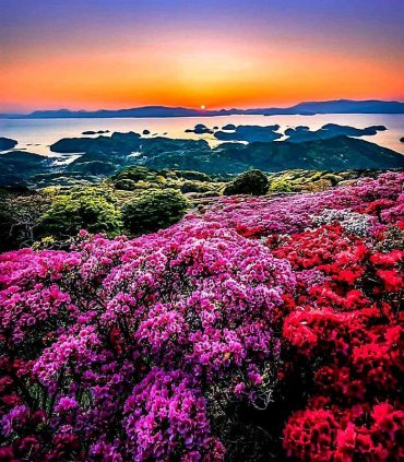 Травнева Японія священними стежками