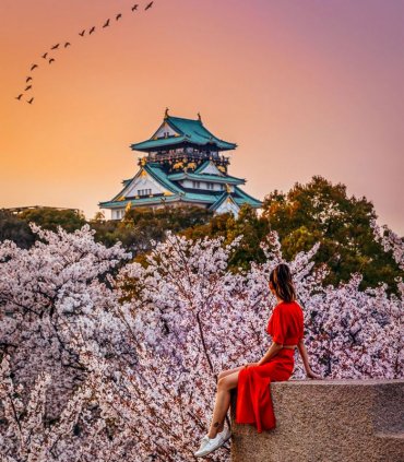 Сакура в Японії - весни чарівність