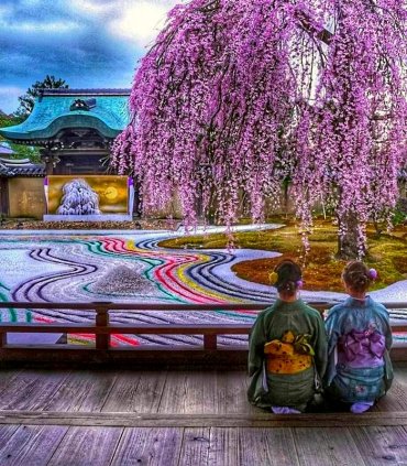 Сакура в Японії - весни чарівність