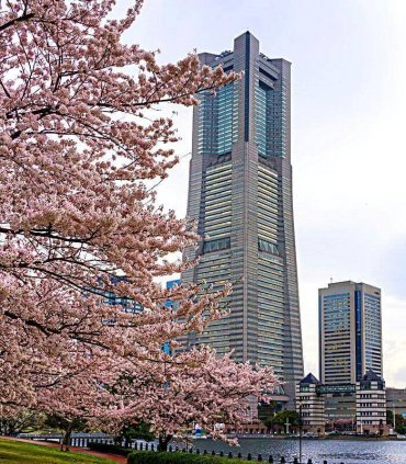 Стародавність Камакури та сучасність Йокогами