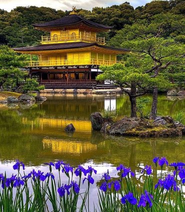 Золото Кіото