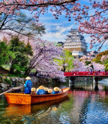 Сакура - весни чарівність