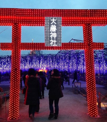 Гліцинії в Асікага і скарби Нікко