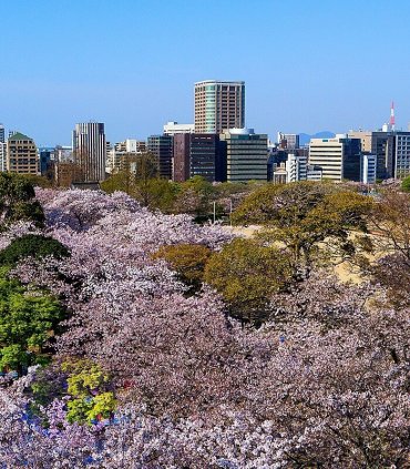 Фукуока - ворота до південної Японії