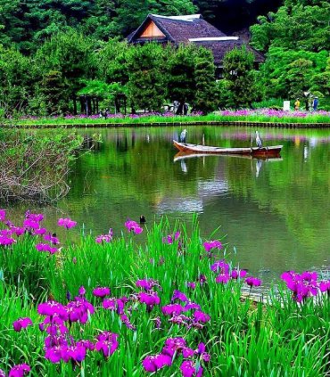 Кумамото - земля вогню