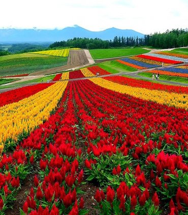 Казкові пейзажі Фурано