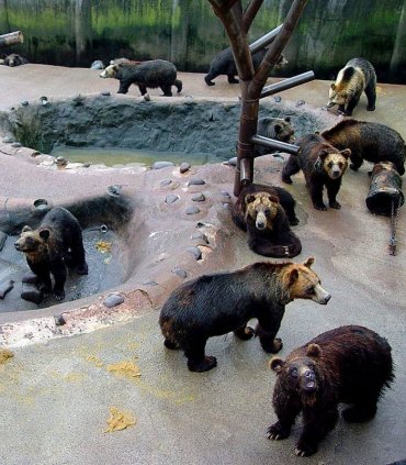 Горячие источники Ноборибецу