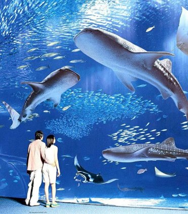 Окінава північна