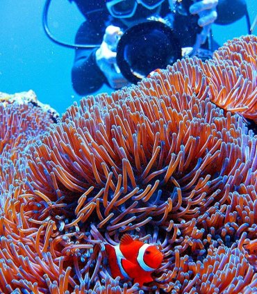 Дайвінг на островах Керама