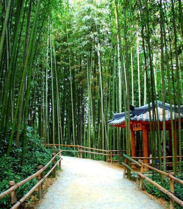 Temple stay у Кореї та відпочинок на екзотичній Окінаві